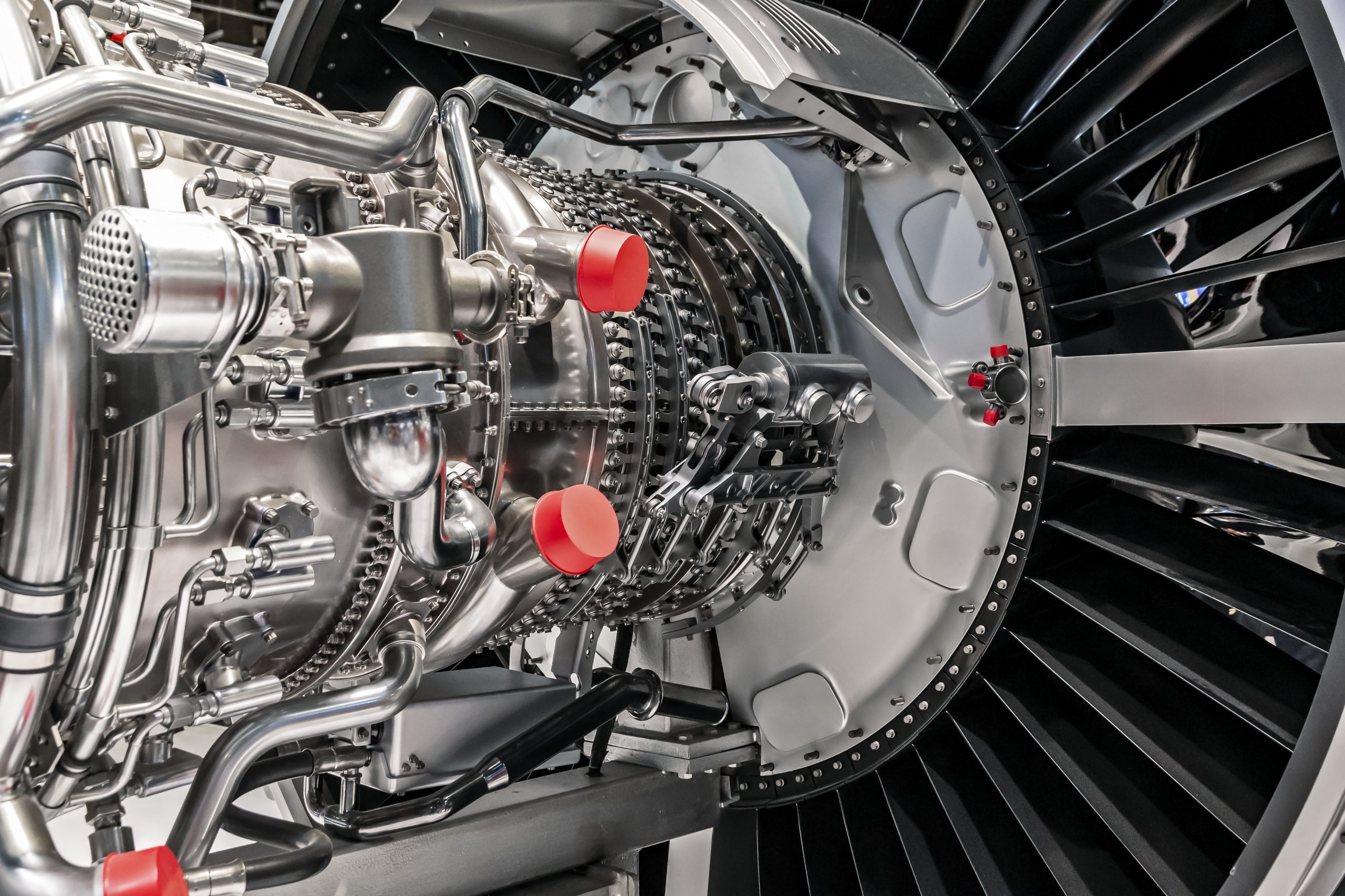 shutterstock_2419737067 scaled